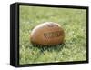 Rugby Ball-null-Framed Stretched Canvas