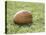 Rugby Ball-null-Stretched Canvas