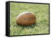 Rugby Ball-null-Framed Stretched Canvas