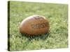 Rugby Ball-null-Stretched Canvas