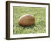 Rugby Ball-null-Framed Photographic Print