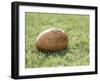 Rugby Ball-null-Framed Photographic Print