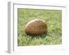 Rugby Ball-null-Framed Photographic Print