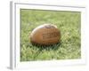 Rugby Ball-null-Framed Photographic Print