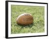 Rugby Ball-null-Framed Photographic Print