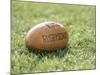 Rugby Ball-null-Mounted Photographic Print