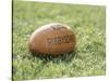Rugby Ball-null-Stretched Canvas