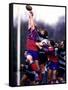 Rugby Game Action-null-Framed Stretched Canvas