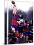 Rugby Game Action-null-Mounted Photographic Print