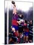 Rugby Game Action-null-Mounted Photographic Print