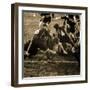 Rugby Game III-Pete Kelly-Framed Giclee Print