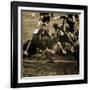 Rugby Game III-Pete Kelly-Framed Giclee Print