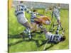 Rugby Match: Australia v Argentina in the World Cup, 1991-Gareth Lloyd Ball-Stretched Canvas