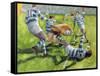 Rugby Match: Australia v Argentina in the World Cup, 1991-Gareth Lloyd Ball-Framed Stretched Canvas