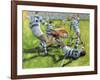 Rugby Match: Australia v Argentina in the World Cup, 1991-Gareth Lloyd Ball-Framed Giclee Print