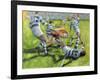 Rugby Match: Australia v Argentina in the World Cup, 1991-Gareth Lloyd Ball-Framed Giclee Print