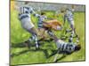 Rugby Match: Australia v Argentina in the World Cup, 1991-Gareth Lloyd Ball-Mounted Giclee Print