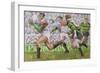 Rugby Match: Harlequins v Northampton, 1992-Gareth Lloyd Ball-Framed Premium Giclee Print