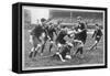 Rugby Match Middlesex-null-Framed Stretched Canvas