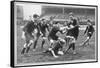 Rugby Match Middlesex-null-Framed Stretched Canvas