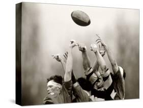Rugby Player in Action, Paris, France-null-Stretched Canvas