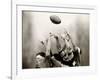 Rugby Player in Action, Paris, France-null-Framed Photographic Print