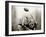 Rugby Player in Action, Paris, France-null-Framed Photographic Print