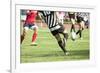 Rugby Player Kicking the Oval Ball-melis-Framed Photographic Print