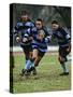 Rugby Players in Action, Paris, France-Paul Sutton-Stretched Canvas