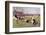 Rugby Try Scored 1897-Ernest Prater-Framed Photographic Print