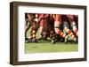 Rugby-alisonebow-Framed Photographic Print