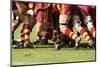 Rugby-alisonebow-Mounted Photographic Print