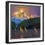 Rugged Coast #10-Max Hayslette-Framed Giclee Print