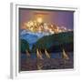 Rugged Coast #10-Max Hayslette-Framed Giclee Print