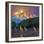 Rugged Coast #10-Max Hayslette-Framed Giclee Print