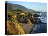 Rugged Coastline at Big Sur-James Randklev-Stretched Canvas