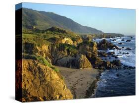 Rugged Coastline at Big Sur-James Randklev-Stretched Canvas