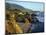 Rugged Coastline at Big Sur-James Randklev-Mounted Photographic Print