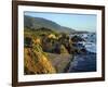 Rugged Coastline at Big Sur-James Randklev-Framed Photographic Print