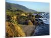 Rugged Coastline at Big Sur-James Randklev-Stretched Canvas