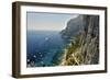 Rugged Coastline at Marina Piccola, Capri, Italy-George Oze-Framed Photographic Print