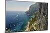 Rugged Coastline at Marina Piccola, Capri, Italy-George Oze-Mounted Photographic Print
