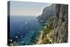 Rugged Coastline at Marina Piccola, Capri, Italy-George Oze-Stretched Canvas