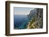 Rugged Coastline at Marina Piccola, Capri, Italy-George Oze-Framed Photographic Print