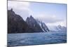 Rugged coastline of Elephant Island, South Shetland Islands, Antarctica, Polar Regions-Michael Runkel-Mounted Photographic Print