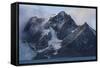 Rugged coastline of Elephant Island, South Shetland Islands, Antarctica, Polar Regions-Michael Runkel-Framed Stretched Canvas