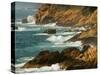 Rugged Coastline of Golfe De Porto, Porto, Corsica, France-Trish Drury-Stretched Canvas