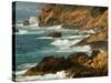 Rugged Coastline of Golfe De Porto, Porto, Corsica, France-Trish Drury-Stretched Canvas