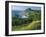 Rugged Coastline of the Lower Estuaries, Galicia, Spain, Europe-Maxwell Duncan-Framed Photographic Print