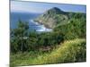 Rugged Coastline of the Lower Estuaries, Galicia, Spain, Europe-Maxwell Duncan-Mounted Photographic Print